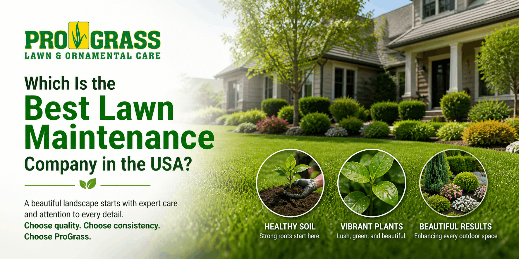 Lawn Maintenance Company