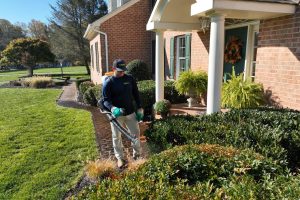 mosquito control