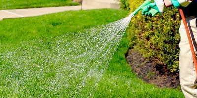 spraying img