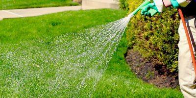 spraying img