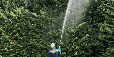tree-shrub-spray